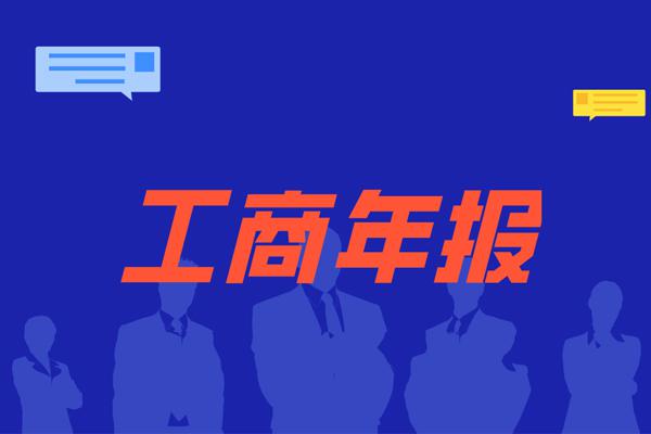 公司年报